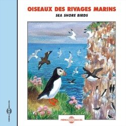 Oiseaux des rivages marins / Sea Shore Birds