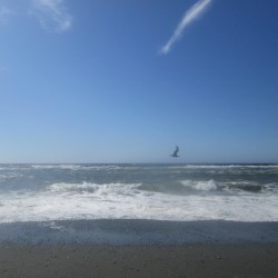 Orick, CA