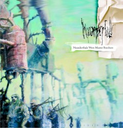 Neanderthals Were Master Butchers