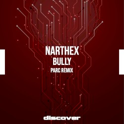Bully (Parc remix)