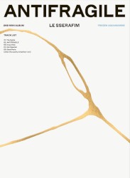 ANTIFRAGILE