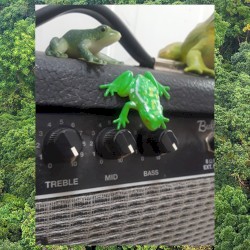 World Frog Day of Noise, Vol. 1