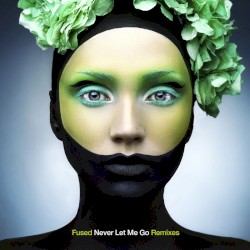 Never Let Me Go (Remixes)