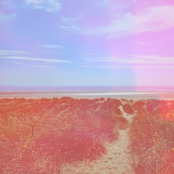 I’ll Never Fall in Love Again