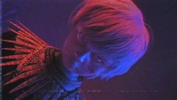 太鼓 Album: Available Today