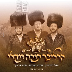 קרליבך תורה מדלי