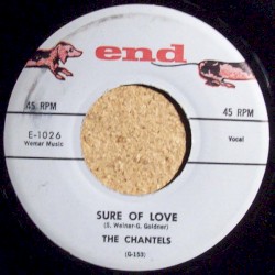 Sure of Love / Prayee