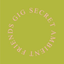 Secret Ambient Friends Gig