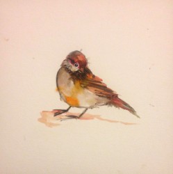 I Wish I Was a Sparrow