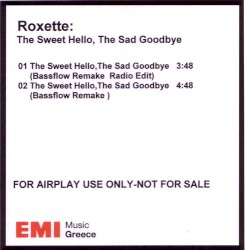 The Sweet Hello, the Sad Goodbye (Bassflow Remake)