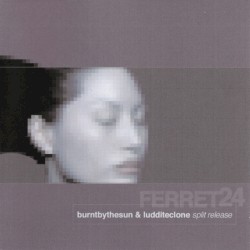 Burnt by the Sun / Luddite Clone