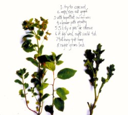 If Night Is a Weed and Day Grows Less