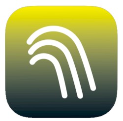 Neal’s Mystery Box Sampler