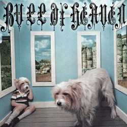 040: A Beautiful Dog