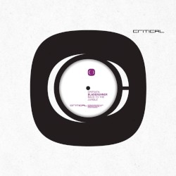 Back to the Jungle / Who Jah Bless