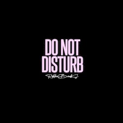 Do Not Disturb