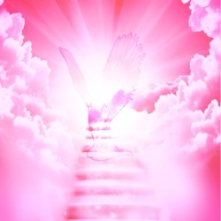 How I Feel About Death Now: Disc 2