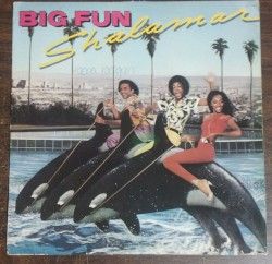 Big Fun