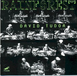 Rainforest (Versions I & IV)