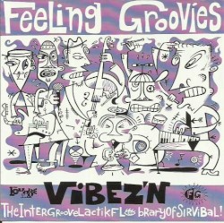 Vibez’n: The Intergroovelactikflobraryofsirvibal!