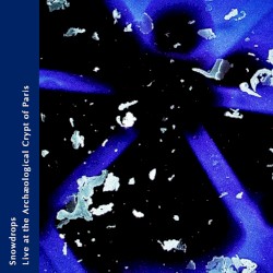 Live at the Archaeological Crypt of Paris