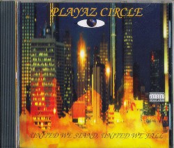 United We Stand, United We Fall