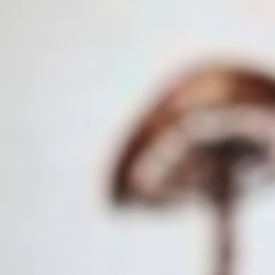 For / Not for John Cage