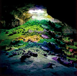 An Introduction To…