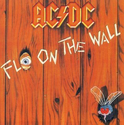 Fly on the Wall