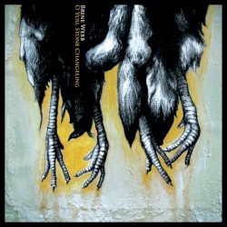 O You, Stone Changeling