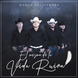 El mismo de la vida ruina