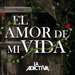 El amor de mi vida