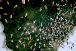 The Accomplished Sinners' Divine Deep State Is Jeffrey Epstein's Newest Art Enterprise in the Next World