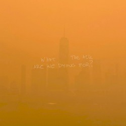 WHAT THE HELL ARE WE DYING FOR ?