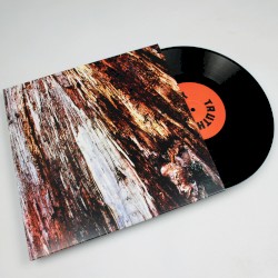 Fight Authority / Seek Truth