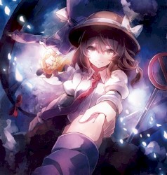 Dual Circulation 雙重循環