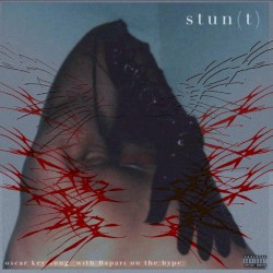 STUN(T)