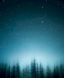 In Dark Autumn Nights