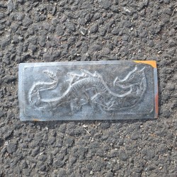 bemused / due dilettante