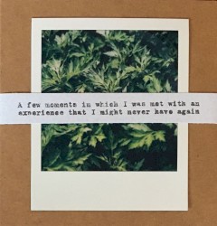 A few moments in which I was met with an experience that I might never have again