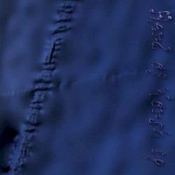 Spore 2, the Second: 21°48'40.8"S 48°58'01.1"E
