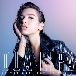 Be the One (Netsky remix)