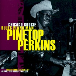 Chicago Boogie Blues Piano Man