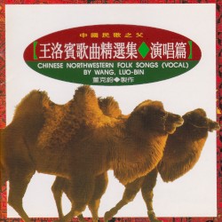 王洛賓歌曲精選集演唱篇