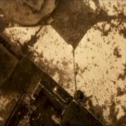 Glorious Parricidal Youth