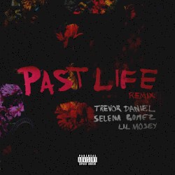 Past Life (remix)