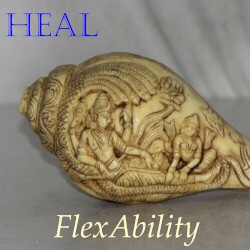 Heal