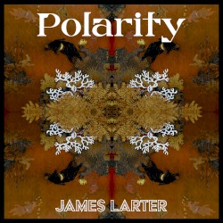 Polarity