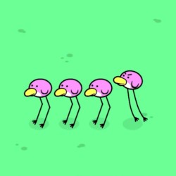 FLOCK to me, trend-STEPPER