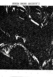 Sthlm Drone Society I